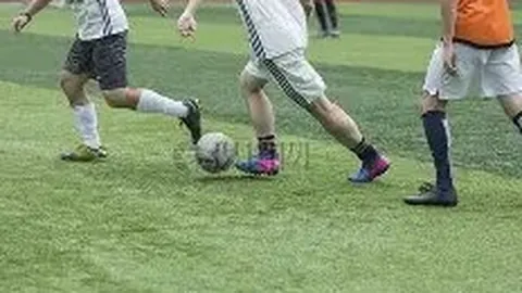 开云平台官方网皇马赞助商 资讯 101856 z2q