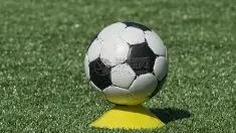 开云平台官方网皇马赞助商 产品 095828 j0j