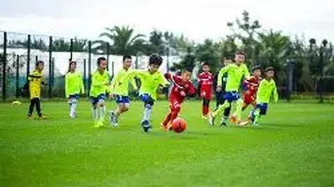 “英超收官战：埃弗顿与莱斯特城濒临降级边缘！”